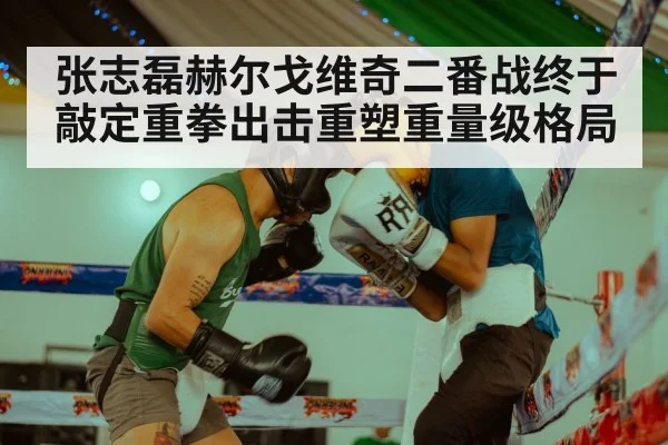 张志磊赫尔戈维奇二番战终于敲定重拳出击重塑重量级格局