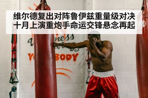 boxer punching heavy bag