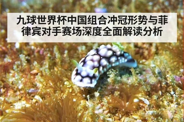 九球世界杯中国组合冲冠形势与菲律宾对手赛场深度全面解读分析